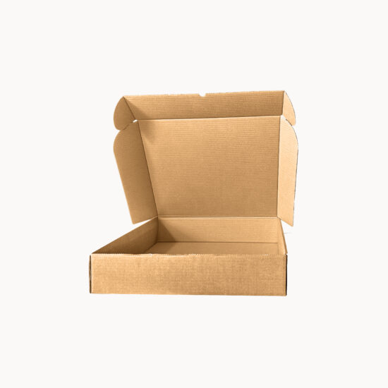 EcoCaja Plana L I 49 x 37,5 x 9,5